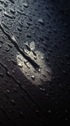 Apple Rainy Day.jpg