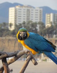 IMG_0763.JPG