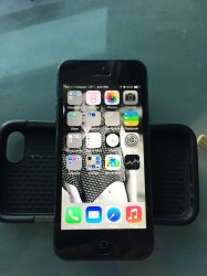 IMG_0126.JPG