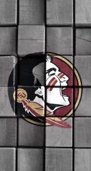 Seminoles 02.jpg