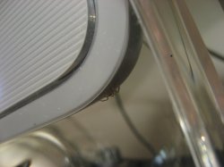 IMG_5291.JPG
