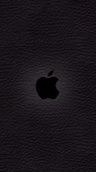Apple logo 02.jpg