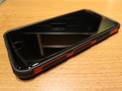 IMG_3115.jpg