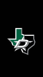 Dallas Stars 01.jpg