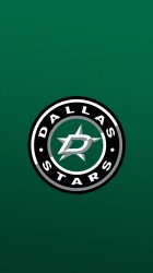 Dallas Stars 02.jpg