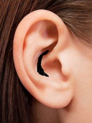 Ear.jpg