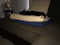 2014-10-15 12.05.06.jpg