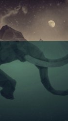 elephant.jpg