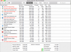 Activity_Monitor__My_Processes__and_Domains.png