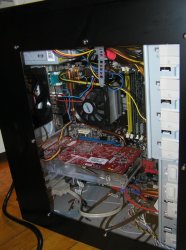 Innards.jpg