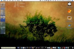 tag-july06-tibook.jpg