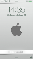 IMG_0196.PNG