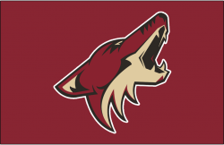 9363_arizona_coyotes-jersey-2015.png