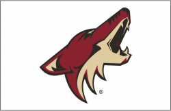 9324_arizona_coyotes-jersey-2015.png