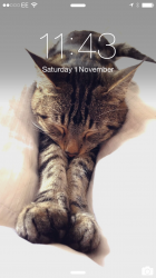 IMG_0479_zoom off.PNG