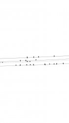 birds_minimal.JPG