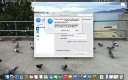 Screen Shot 2014-11-02 at 2.23.13 PM.png