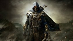 The_Elder_Scrolls_Online_warrior_Assassin_fantasy_skyrim_1920x1080.jpg