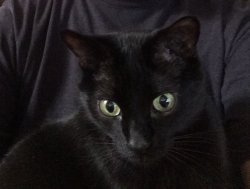 IMG_5107-2.JPG IMG_5107-2.JPG