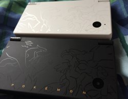 dsi.jpg