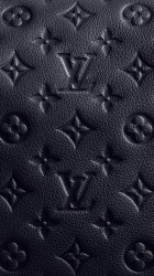Louis Vuitton.png