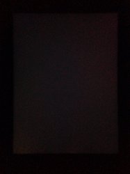 IMG_1343.JPG
