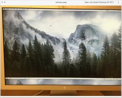 Duped-screen-image.jpg