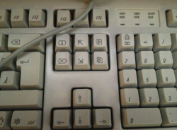 Picture 1.png