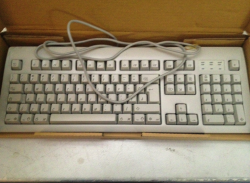 Picture 3.png