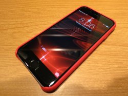 IMG_3238.jpg
