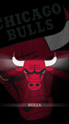 Bulls 750 01.png