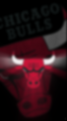 Bulls 750 02.png