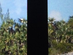 IMG_5877.jpg