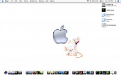 desktop.jpg