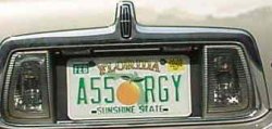 a55.jpg