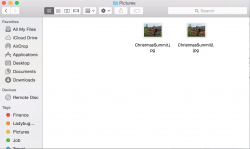 Screen Shot 2014-12-15 at 7.29.41 AM.png