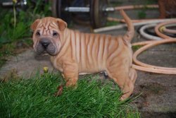 Photo 20-11-14 09 17 51.jpg