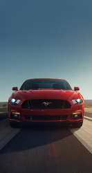 2015 Mustang 01.png
