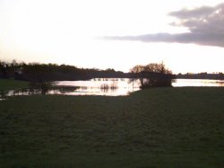 image1.jpeg