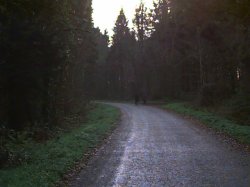 image4.jpeg