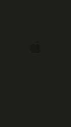 Apple black 02.png