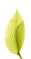 8 (iPhone).jpg