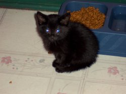 100_0619.JPG 100_0619.JPG