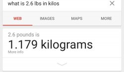 image.jpg