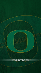 Ducks.png