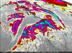 IR4NW.GIF.1.jpg