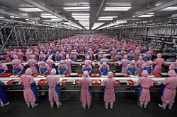 apple factry workers.jpg