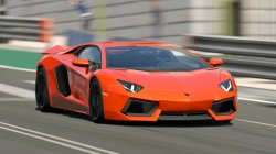 Lamborghini 51.jpg