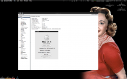System Profiler.png