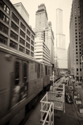IMG_3987.jpg